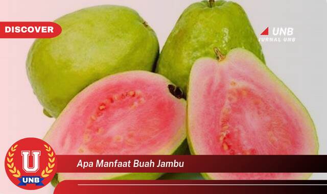 Temukan 8 Manfaat apa manfaat buah jambu yang tidak Semua Orang Tau