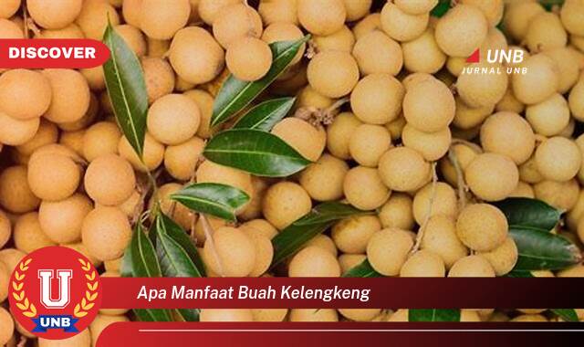 Temukan 10+ Manfaat Buah Kelengkeng untuk Kesehatan dan Kecantikan