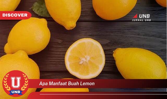 Inilah 10 Manfaat apa manfaat buah lemon yang Jarang Diketahui
