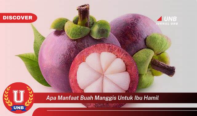 Ketahui 9 Manfaat apa manfaat buah manggis untuk ibu hamil yang Bikin Kamu Penasaran