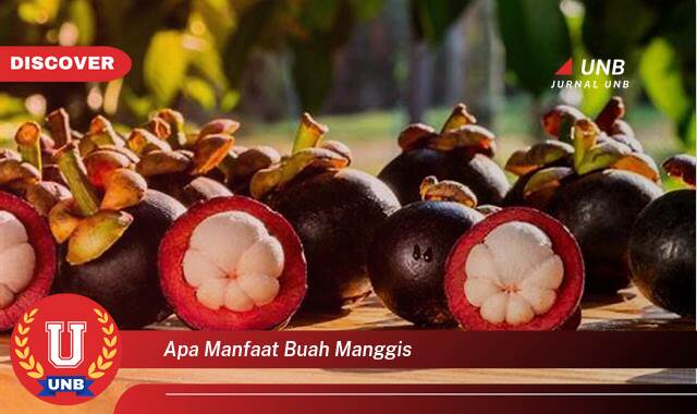 Temukan 8 Manfaat Buah Manggis untuk Kesehatan, Kecantikan, dan Cara Mengonsumsinya Temukan 8 Manfaat Buah Manggis untuk Kesehatan, Kecantikan, dan Cara Mengonsumsinya