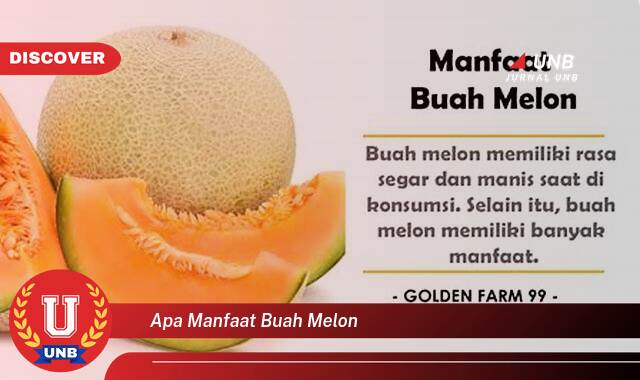 Temukan 10 Manfaat Buah Melon untuk Kesehatan dan Kecantikan Anda