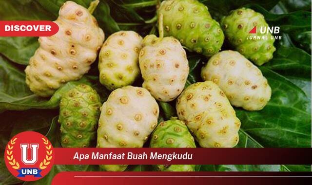 Temukan 8 Manfaat Buah Mengkudu untuk Kesehatan Tubuh Anda