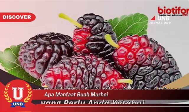 Temukan 10 Manfaat Buah Murbei yang Bikin Kamu Penasaran