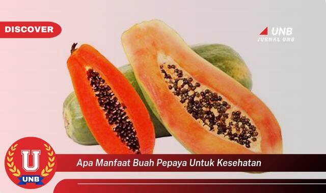 Ketahui 8 Manfaat apa manfaat buah pepaya untuk kesehatan yang Jarang Diketahui