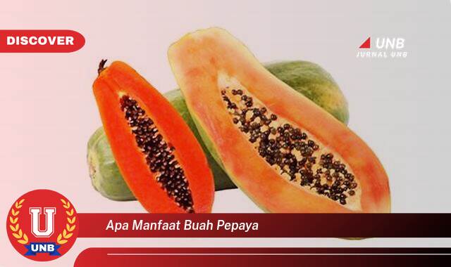 Temukan 9 Manfaat Buah Pepaya untuk Kesehatan, Kecantikan, dan Cara Mengolahnya Temukan 9 Manfaat Buah Pepaya untuk Kesehatan, Kecantikan, dan Cara Mengolahnya