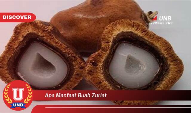 Inilah 8 Manfaat apa manfaat buah zuriat yang Jarang Diketahui