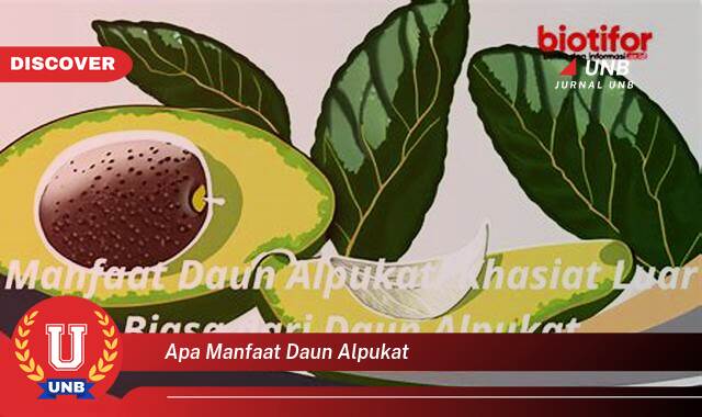 Temukan 10 Manfaat Daun Alpukat untuk Kesehatan Anda, Dari Akar Hingga Daun