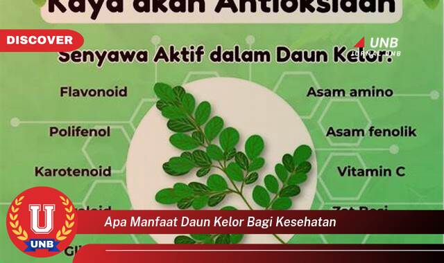 Temukan 9 Manfaat Daun Kelor bagi Kesehatan, Dari Meningkatkan Imunitas Hingga Menjaga Kesehatan Jantung Temukan 9 Manfaat Daun Kelor bagi Kesehatan, Dari Meningkatkan Imunitas Hingga Menjaga Kesehatan Jantung