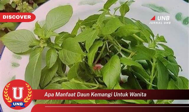 8 Manfaat apa manfaat daun kemangi untuk wanita yang tidak Semua Orang Tau