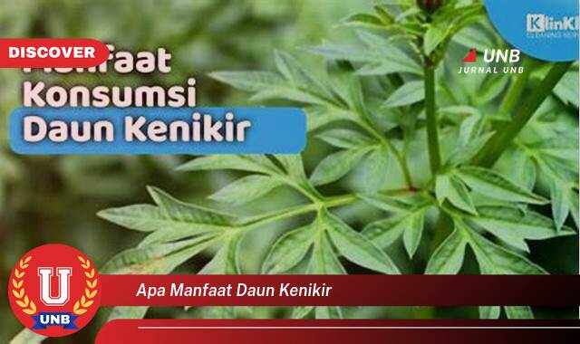 Temukan 10 Manfaat Daun Kenikir untuk Kesehatan Tubuh Anda