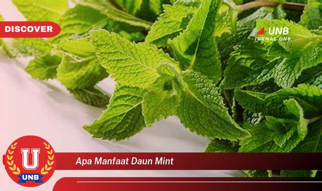 Ketahui 10 Manfaat Daun Mint yang Tak Disangka