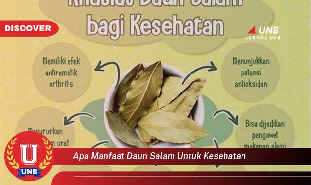 Inilah 8 Manfaat apa manfaat daun salam untuk kesehatan yang Wajib kamu ketahui