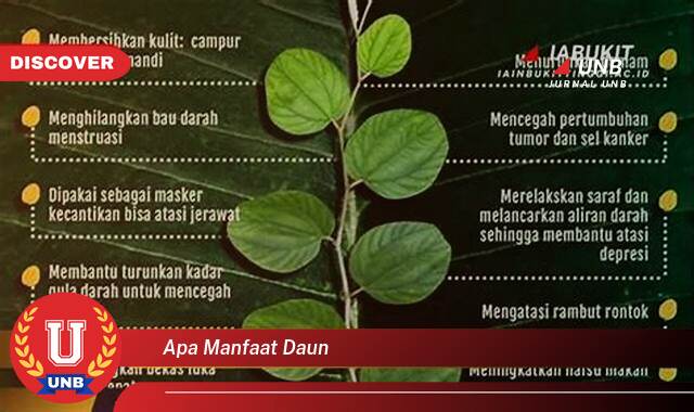 Temukan 8 Manfaat Daun,  Khasiat & Kegunaan untuk Kesehatan, Kecantikan, dan Lainnya