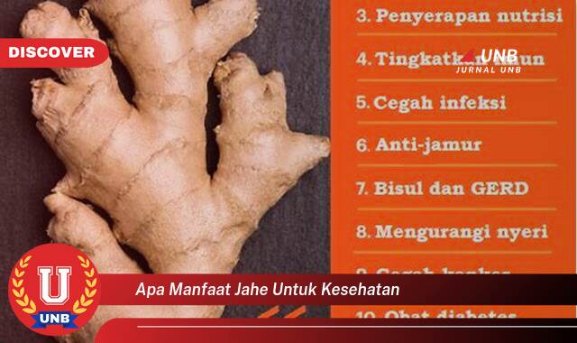 10 Manfaat apa manfaat jahe untuk kesehatan yang Wajib kamu ketahui
