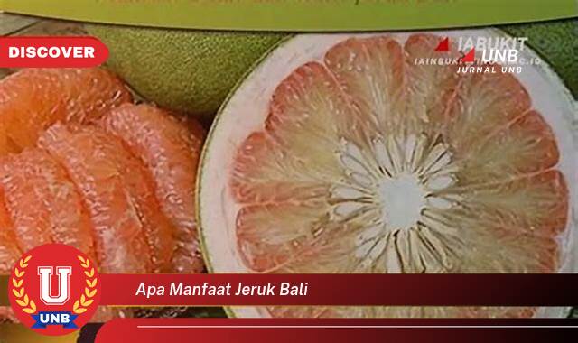 Ketahui 8 Manfaat Jeruk Bali yang Wajib Kamu Ketahui