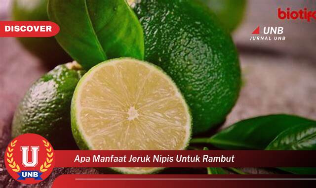 Temukan 9 Manfaat apa manfaat jeruk nipis untuk rambut yang tidak Semua Orang Tau