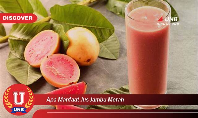 9 Manfaat apa manfaat jus jambu merah yang Wajib kamu ketahui