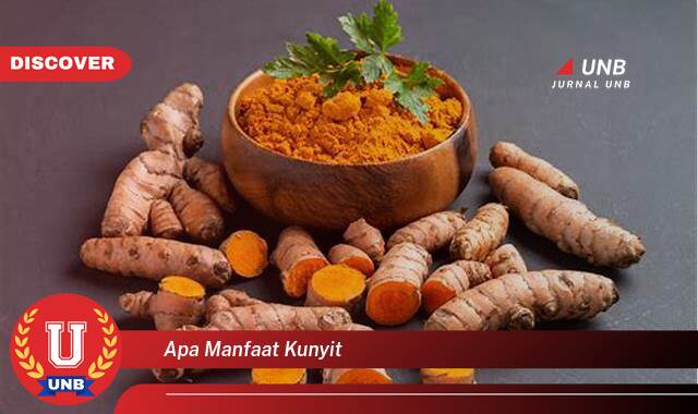 Temukan 10 Manfaat Kunyit untuk Kesehatan, Kecantikan, dan Masakan Temukan 10 Manfaat Kunyit untuk Kesehatan, Kecantikan, dan Masakan