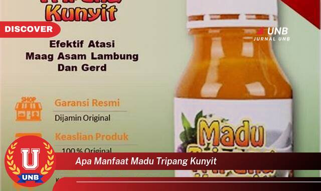 Temukan 9 Manfaat apa manfaat madu tripang kunyit yang tidak Semua Orang Tau