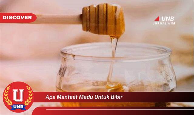 Ketahui 8 Manfaat apa manfaat madu untuk bibir yang Jarang Diketahui
