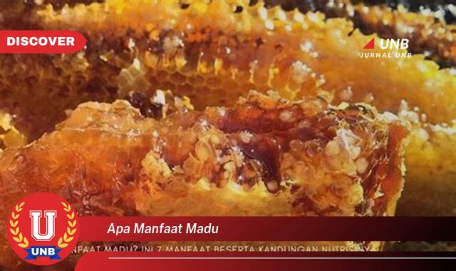 Temukan 8 Manfaat Madu,  Khasiat Luar Biasa untuk Kesehatan, Kecantikan, dan Lainnya