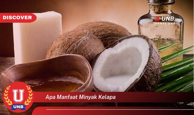 Temukan 20+ Manfaat Minyak Kelapa untuk Kesehatan, Kecantikan, dan Rumah Tangga