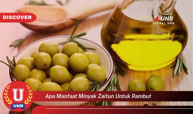 Temukan 10 Manfaat Minyak Zaitun untuk Rambut, Menumbuhkan, Melembutkan, dan Mengatasi Kerusakan Temukan 10 Manfaat Minyak Zaitun untuk Rambut, Menumbuhkan, Melembutkan, dan Mengatasi Kerusakan