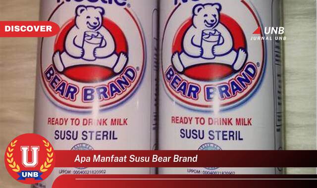 Temukan 8 Manfaat Susu Bear Brand untuk Kesehatan Tubuh dan Daya Tahan Anda