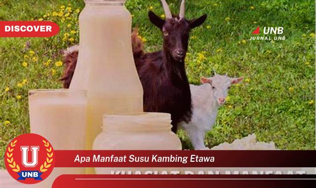 Temukan 8 Manfaat Susu Kambing Etawa untuk Kesehatan Tubuh Anda