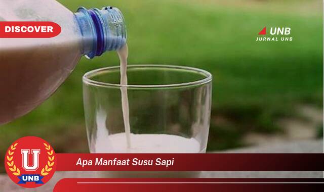 Temukan 9 Manfaat apa manfaat susu sapi yang tidak Semua Orang Tau