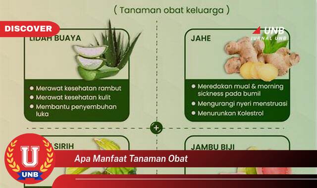 Temukan 9 Manfaat apa manfaat tanaman obat yang tidak Semua Orang Tau