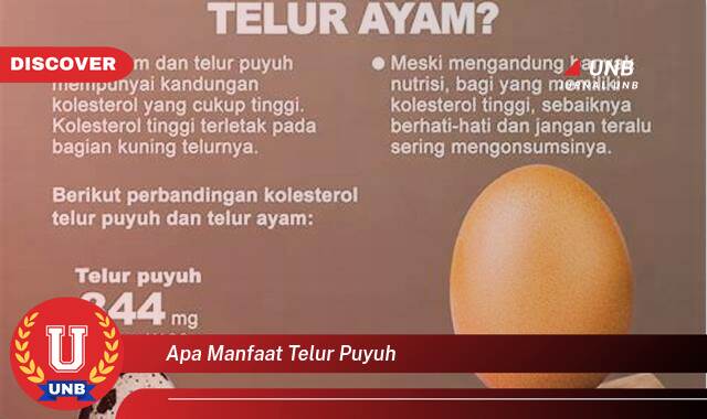 Inilah 10 Manfaat apa manfaat telur puyuh yang Wajib Kamu Intip