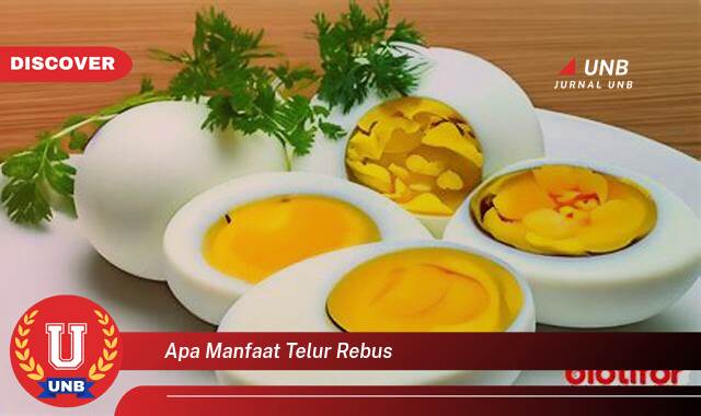 Temukan 8 Manfaat Telur Rebus untuk Kesehatan Tubuh Anda