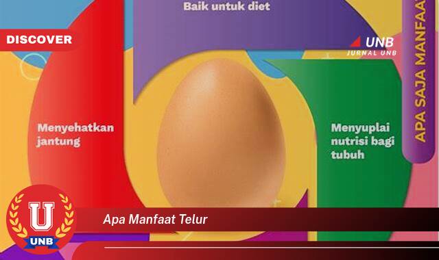 Temukan 9 Manfaat Telur,  Dari Kesehatan Hingga Kecantikan