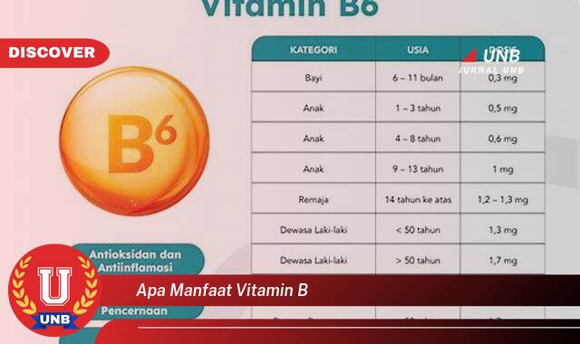 Temukan 10 Manfaat Vitamin B untuk Kesehatan Tubuh Anda Secara Keseluruhan