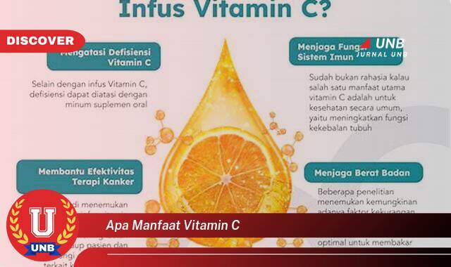 Temukan 9 Manfaat Vitamin C, Untuk Kesehatan Tubuh, Kulit, dan Daya Tahan Tubuh Anda Temukan 9 Manfaat Vitamin C, Untuk Kesehatan Tubuh, Kulit, dan Daya Tahan Tubuh Anda