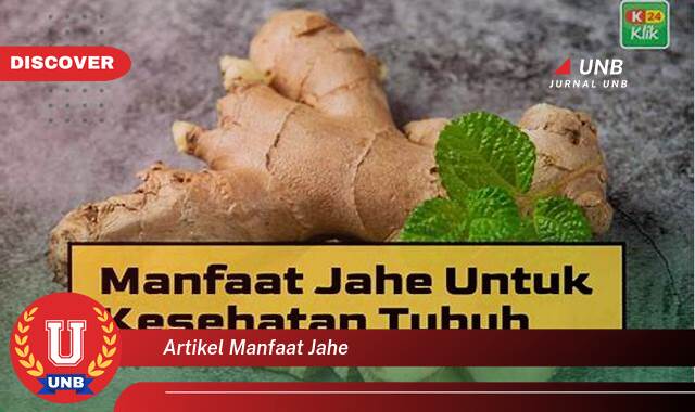 10 Manfaat artikel manfaat jahe yang Wajib kamu ketahui