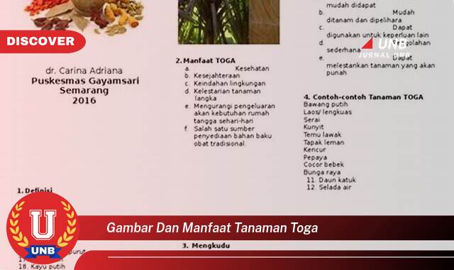 10 Manfaat gambar dan manfaat tanaman toga yang Jarang Diketahui