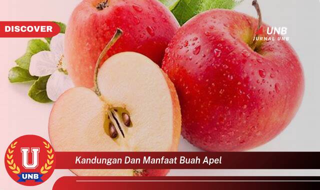 Inilah 8 Manfaat kandungan dan manfaat buah apel yang Wajib kamu ketahui