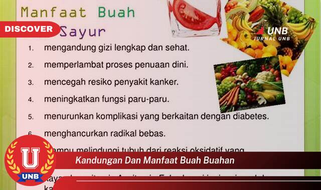 Temukan Kandungan dan Manfaat Buah,Buahan untuk Kesehatan Tubuh Anda