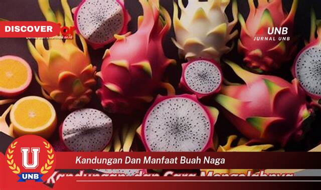 Ketahui 8 Manfaat kandungan dan manfaat buah naga yang Jarang Diketahui