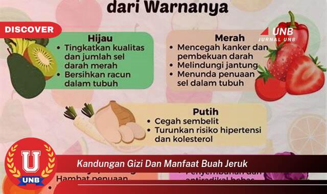 Inilah 9 Manfaat kandungan gizi dan manfaat buah jeruk yang tidak Semua Orang Tau