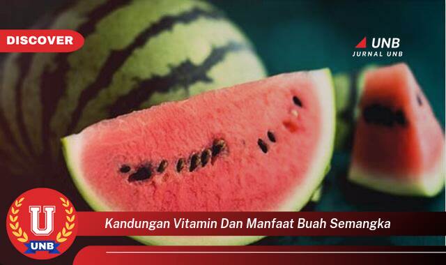 Ketahui 9 Manfaat kandungan vitamin dan manfaat buah semangka yang Wajib kamu ketahui