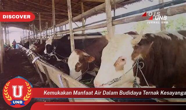 Ketahui 8 Manfaat air budidaya ternak kesayangan yang Wajib Kamu Intip