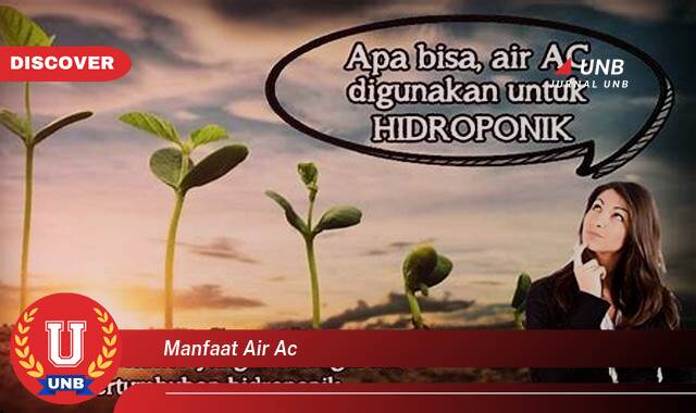 Temukan 8 Manfaat Air AC,  Solusi Hemat & Praktis untuk Kebutuhan Sehari,hari