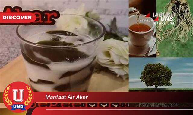 Inilah 9 Manfaat Air Akar yang Tak Semua Orang Tahu