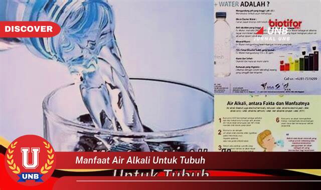 Temukan 10 Manfaat Air Alkali untuk Tubuh yang Wajib Kamu Ketahui