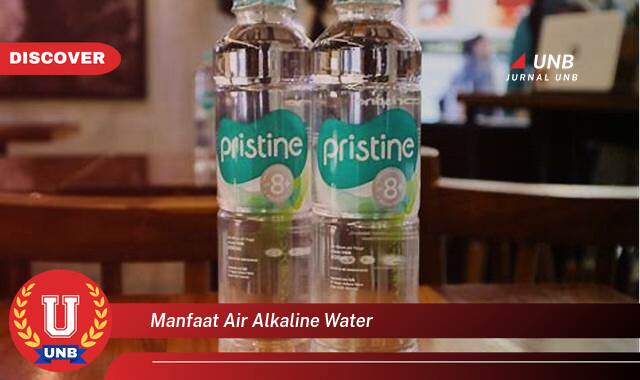 Temukan 9 Manfaat Air Alkaline Water untuk Kesehatan Tubuh Anda