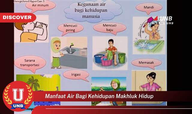 Temukan 8 Manfaat manfaat air bagi kehidupan makhluk hidup yang Wajib Kamu Intip